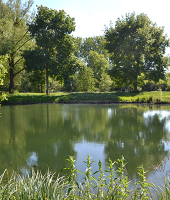 Pêche étang Amiens